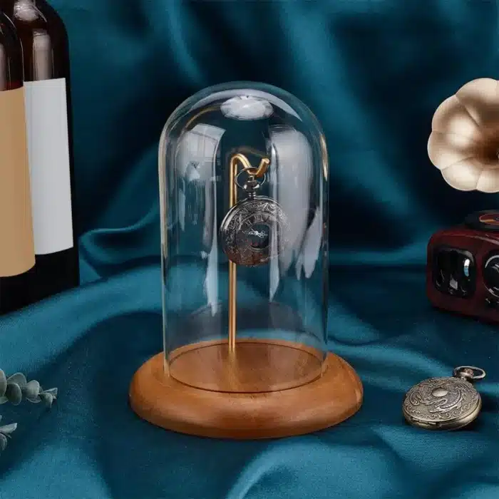 Cloche de dôme d'affichage en verre pour montre de poche, avec crochet, pot d'affichage de montre de 5.7 "x 7.6", dôme en verre transparent avec Base en bois, montre végétale 3