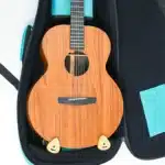 Support ukulele 4