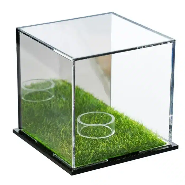 Vitrine balle de golf 1