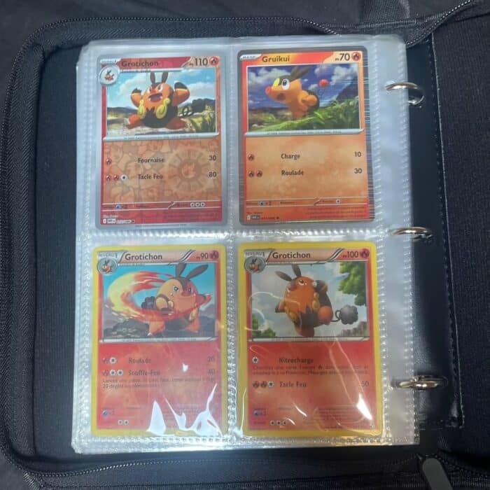 téléchargement – 2026-01-10T143554.407 Cropped