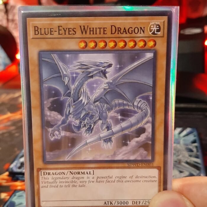 téléchargement – 2026-01-13T135935.863 Cropped