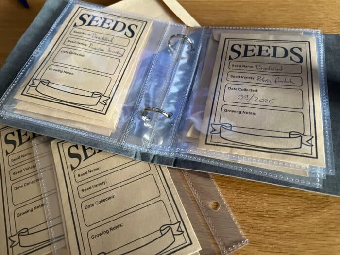 téléchargement (80)