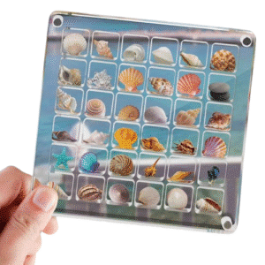 Boite rangement coquillage