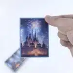 Protege carte Lorcana 2