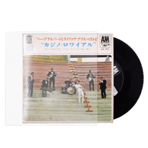 Pochette plastique vinyle